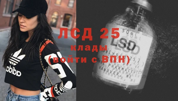 молекула духа Беломорск