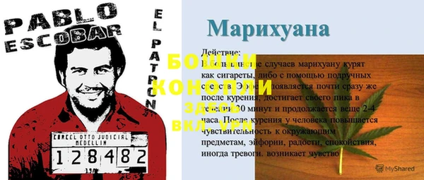 молекула духа Беломорск